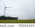 Windmills and sunflowers on the Nunobiki Plateau 70049369