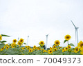 Sunflowers and windmills on the Nunobiki Plateau 70049373