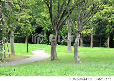 Sawatari Central Park, Yokohama City, Kanagawa Prefecture 70049577