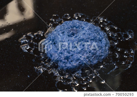 靛藍花（Aizen） 70050293