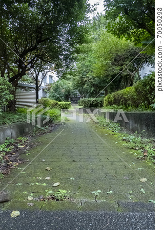 Roads and outer walls that need cleaning due to weeds and dirt 70050298