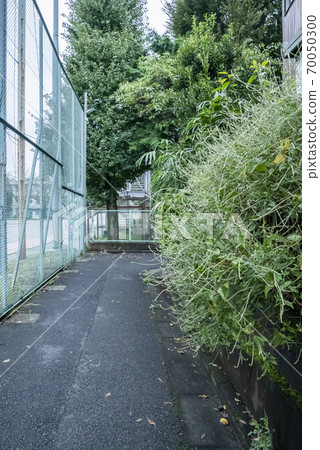 Roads and outer walls that need cleaning due to weeds and dirt 70050300