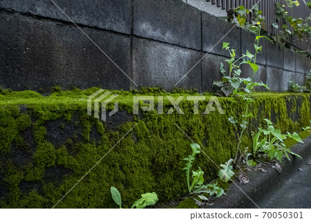Roads and outer walls that need cleaning due to weeds and dirt 70050301