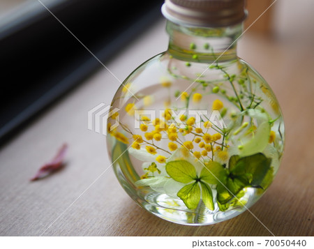 植物標本室 植物標本室 70050440