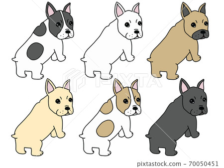 6色法國鬥牛犬 70050451