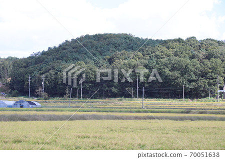 韓國秋天的田野 70051638