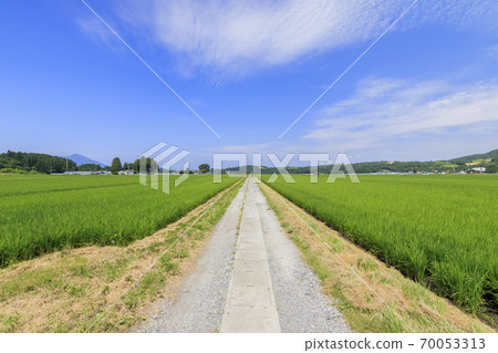 大分縣Ku洲郡稻田和農場道路,夏天的圖像 大分縣Ku洲郡稻田和農場道路,夏天的圖像 70053313