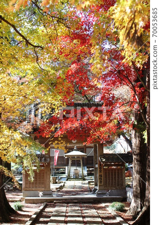 Sanmon, which is colored with autumn leaves 70053685