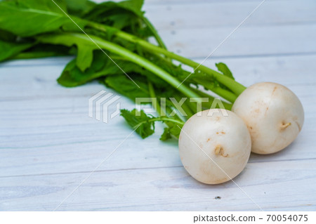 Turnip vegetables Turnip vegetables 70054075