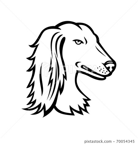 Head of Saluki Tazi or Persian Greyhound Mascot Side View Retro Black and White Head of Saluki Tazi or Persian Greyhound Mascot Side View Retro Black and White 70054345