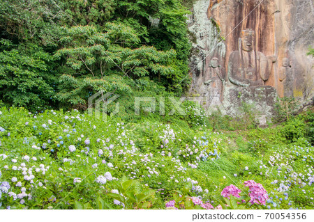 大分縣豐後大野市Fukkoji Makaibutsu和繡球花 70054356