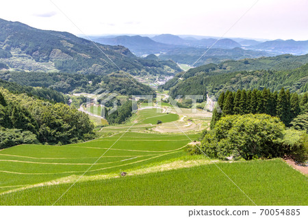 Waradino terraced rice fields, Karatsu City, Saga Prefecture Waradino terraced rice fields, Karatsu City, Saga Prefecture 70054885