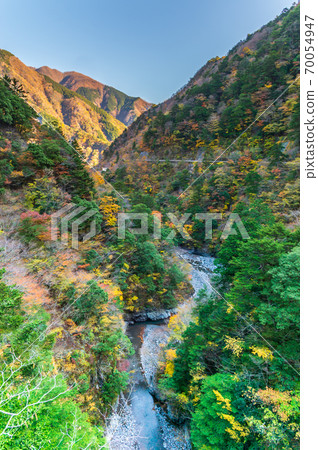 靜岡縣墨ata峽谷的秋葉 70054947