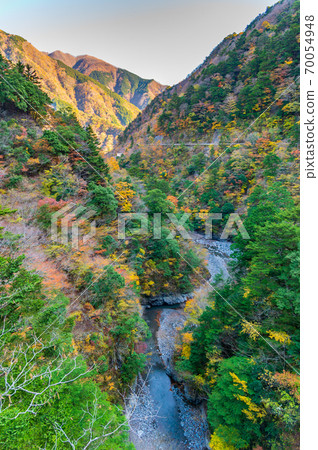 靜岡縣墨ata峽谷的秋葉 70054948