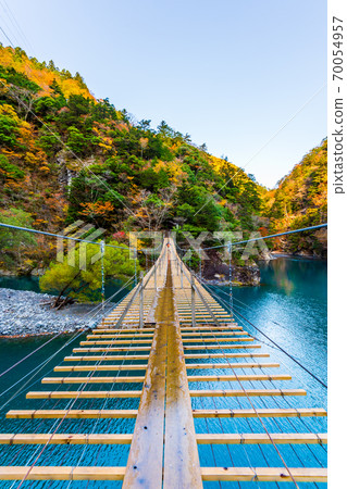 靜岡縣墨ata峽谷的秋葉 70054957