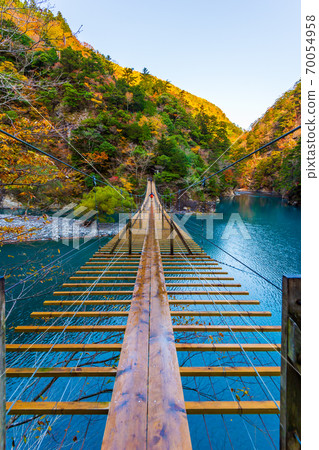 靜岡縣墨ata峽谷的秋葉 70054958