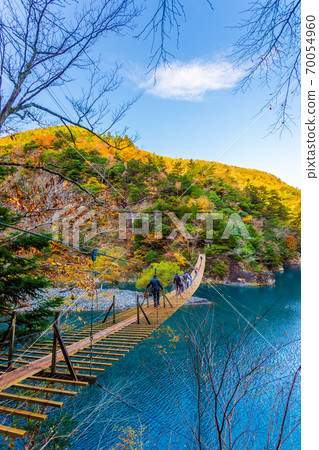 靜岡縣墨ata峽谷的秋葉 70054960