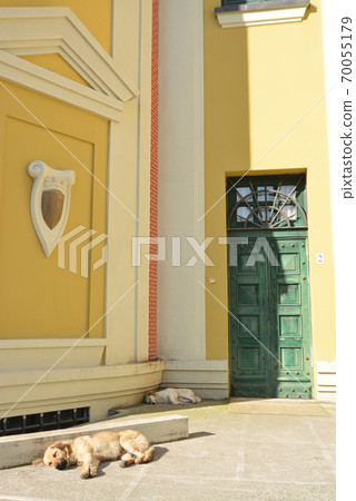 Albania Tirana Albania Tirana 70055179