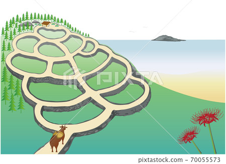 Ushi-kun and rice terraces 1, cluster amaryllis Ushi-kun and rice terraces 1, cluster amaryllis 70055573