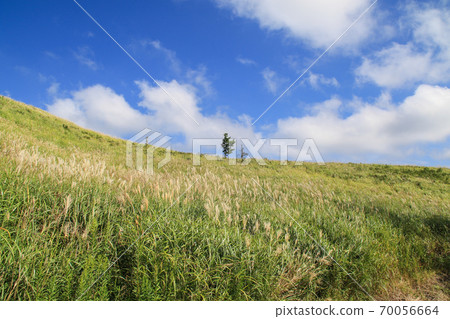 Okito stone hill Okito stone hill 70056664