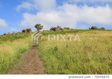 Okito stone hill 70056670