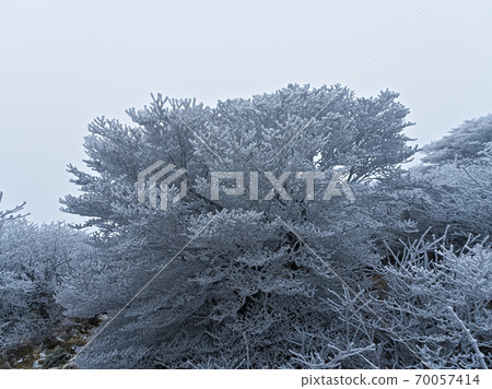 Rime on the Kuju mountain range in winter Rime on the Kuju mountain range in winter 70057414