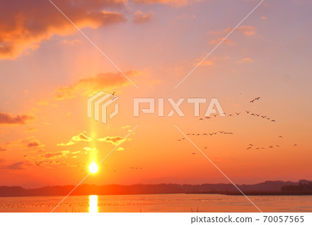 泉沼的早晨航班 泉沼的早晨航班 70057565