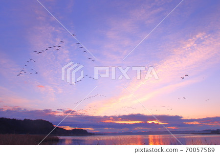泉沼的早晨航班 泉沼的早晨航班 70057589