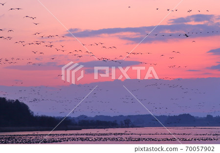 泉沼的早晨航班 70057902