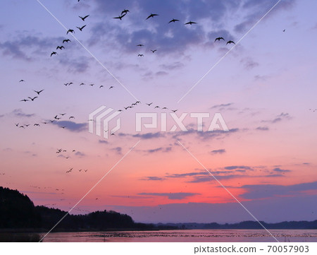 泉沼的早晨航班 70057903