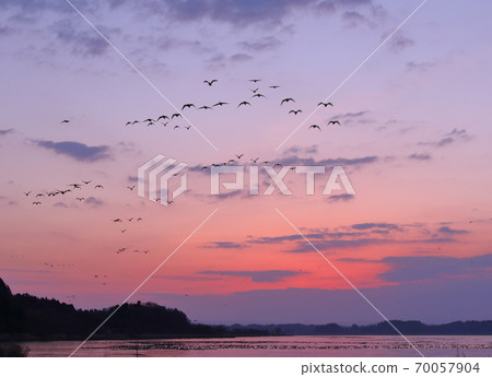 泉沼的早晨航班 70057904