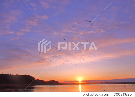 泉沼的早晨航班 泉沼的早晨航班 70058689
