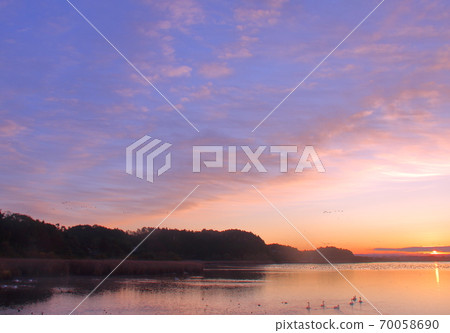 泉沼的早晨航班 泉沼的早晨航班 70058690
