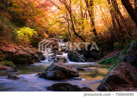 Hananuki Gorge in autumn colors 1 Hananuki Gorge in autumn colors 1 70060090
