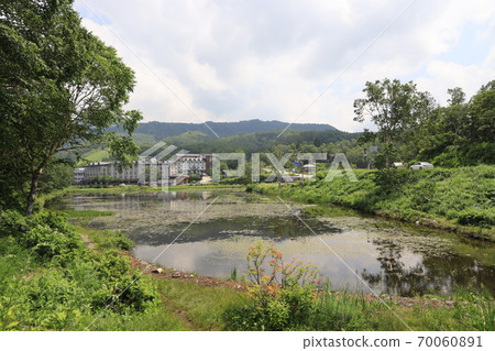 Shiga Kogen Summer lotus pond scenery Shiga Kogen Summer lotus pond scenery 70060891