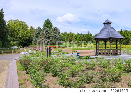 麻美山公園秋花 70061205