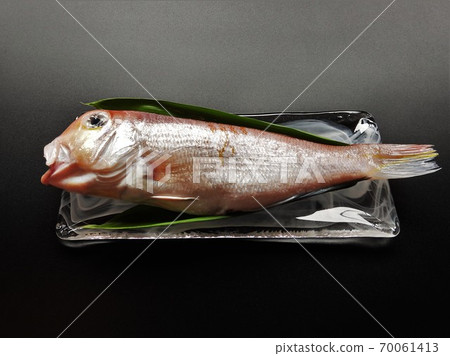 Tilefish and glass plate Tilefish and glass plate 70061413