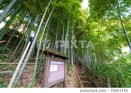 Numakumata Funabori公園的竹林 70061456