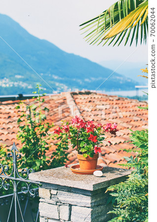 Beautiful red potted flower, tile roof and other details in rural alpine Ticino Canton in Southern Switzerland with houses, farms, vineyards and Lake Maggiore Beautiful red potted flower, tile roof and other details in rural alpine Ticino Canton in Southern Switzerland with houses, farms, vineyards and Lake Maggiore 70062044