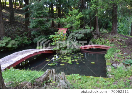 秋季在弘前市郊的小栗山神社的池塘 70062311
