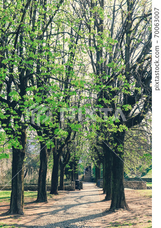 Spring alley in the old castle 70063007