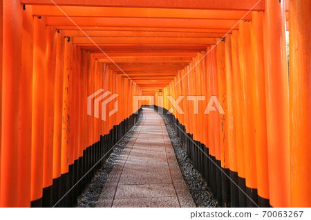 伏見Inari Taisha 70063267