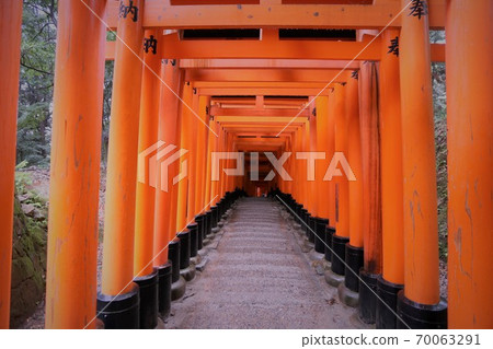 Fushimi-Inari Taisha  70063291