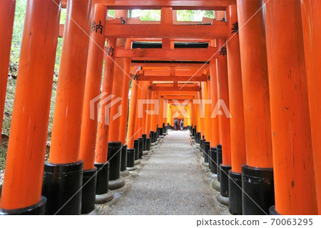 伏見Inari Taisha 伏見Inari Taisha 70063295