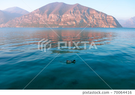 Beautiful minimalist landscape of Lake Iseo with emerald transparent water 70064416