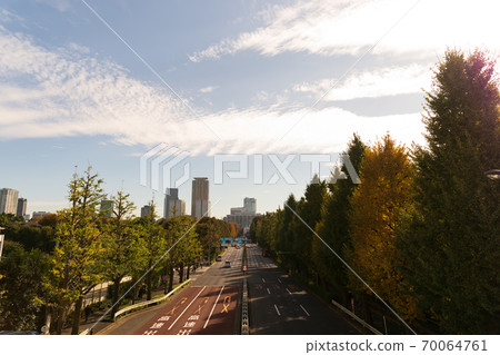 Autumn leaves of the Jingu Gaien Autumn leaves of the Jingu Gaien 70064761