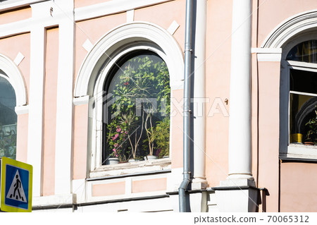 arge houseplants in outdoor window of urban house arge houseplants in outdoor window of urban house 70065312