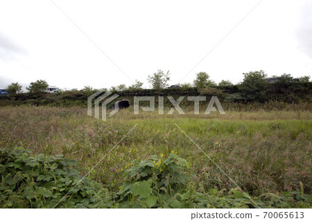 Gaul Field Gaul Field 70065613