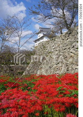 "Tsuruyama Park (Tsuyama Castle Toe)", one of the 100 best cherry blossom viewing spots in Tsuyama City, Okayama Prefecture: When the flowers on the banks of the river bloom "Tsuruyama Park (Tsuyama Castle Toe)", one of the 100 best cherry blossom viewing spots in Tsuyama City, Okayama Prefecture: When the flowers on the banks of the river bloom 70065904