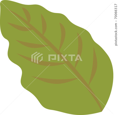 Leaf icon illustration Leaf icon illustration 70066317